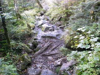 秋の登山道