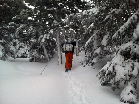 冬の登山道