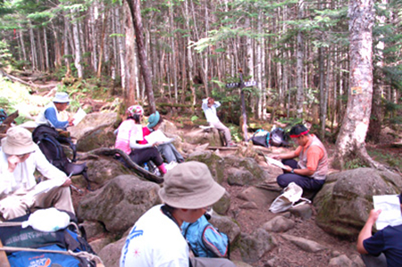 森を歩く登山者